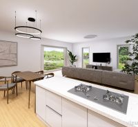 Interior with kitchen and living area, floor with wood decor, family house.