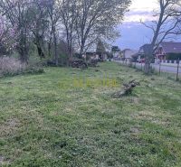 Residential plots in Slovenská Nová Ves with blossoming trees and an adjacent road.