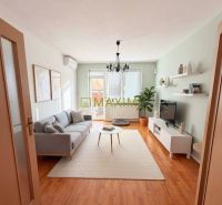 Living room in a two-room apartment with a wooden decor floor, a sofa, and a television.