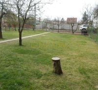 Garden and fruit trees near the cottage in Bratislava - Ružinov, Mokráň Záhon.