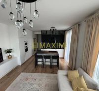 Living room of a three-room apartment with a kitchen, lighting, and flooring with a wooden decor.
