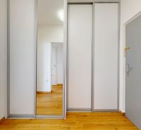 Entrance hall in a 2-room apartment with a wood-patterned floor and a built-in wardrobe.