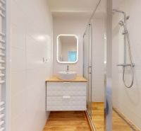 Bathroom with wood-patterned flooring in a 2-room apartment. Shower, sink, and mirror.