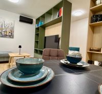 Living room in a 2-room apartment with a sofa, art on the walls, and a dining table.