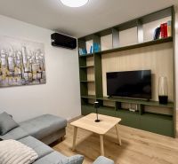 Living room in a two-room apartment with a sofa, television, and wooden decor flooring.