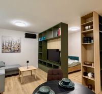 Interior of a 2-room apartment with a wooden decor floor, light sofa, and modern furniture.