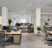Office business space with desks, chairs, and plants.