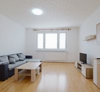 Living room in a 3-room apartment with a sofa and wooden decor flooring.