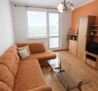 Living room in a two-room apartment with an orange sofa and a wooden decor floor.