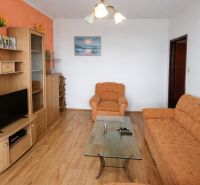 Living room in a two-room apartment with a sofa, coffee table, and wooden decor flooring.
