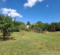 Gardens in Moča with fruit trees under a blue sky with white clouds.