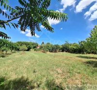 Gardens in Moča with green trees and a blue sky with clouds.
