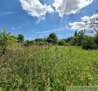 Gardens in Moča with dense greenery under a blue sky with clouds.