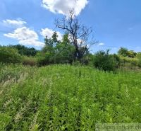 Plants and trees surround the gardens in Moča under a blue sky with clouds.