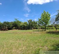 The gardens in Moča are wooded, with scattered trees and a blue sky.