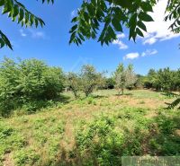Gardens in Moča with greenery and blue sky.