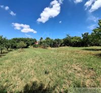 Expansive gardens in Moča with a lawn, surrounded by trees under a clear sky.