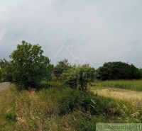 Agricultural and forest lands in Smilno surrounded by green shrubs and field crops.