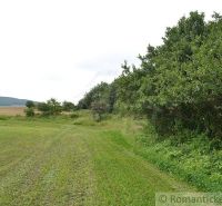 Greenery, grassy surface, agricultural and forest lands in Smilno, hills in the distance.