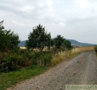 Agricultural and forest land in Smilno with a field road and surrounding nature.