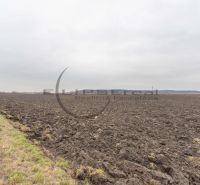 Agricultural and forest land on Dolná Street in Zohor with fertile arable soil.