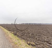 Arable land on Dolná Street in Zohor, agricultural and forest land, next to the road.