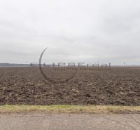 Agricultural and forest land in Zohor on Dolná Street, ready for cultivation.