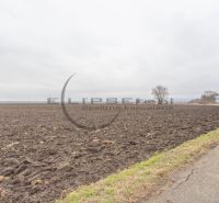 Arable land near Dolná Street in Zohor, suitable for agricultural and forest plots.