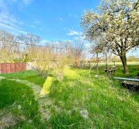 The garden of a family house in Dulovce with a lawn, deciduous trees, and a metal gate.