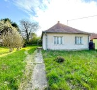 A family house in Dulovce surrounded by a garden with a walkway, green plants, and trees.