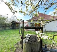 A garden at a family house in Dulovce with a blooming tree and a well.
