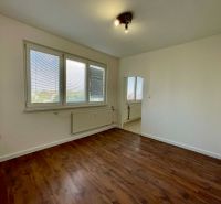 A one-room apartment with white walls and a floor with a wood decor.