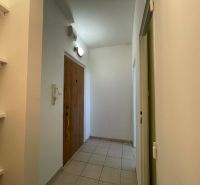 Entrance hallway in a 1-room apartment with tiles and doors on the right side.