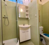 A bathroom in a studio apartment with a shower, sink, and toilet.