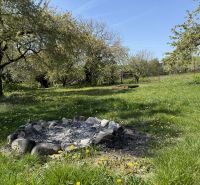 A grassy plot with a fire pit and trees on Biskupická Street in Trenčín for living.