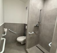Bathroom in a 3-room apartment with a barrier-free shower and toilet, tiled with gray tiles.