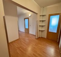 Entrance hall in a 3-room apartment with a wood-patterned floor and wooden doors.