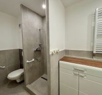Bathroom in a 3-room apartment with a brick shower corner and a storage cabinet.