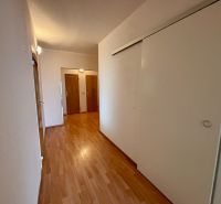A hallway in a 3-room apartment with a wooden decor floor and sliding doors.
