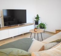 Living room with wood-patterned flooring and a TV in a 2-room apartment.