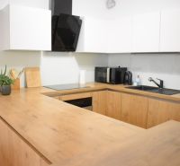 Kitchen in a 2-room apartment with a counter, white cabinet, wooden decor flooring.