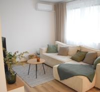 Living room in a 2-room apartment with a wooden decor floor and a sofa.