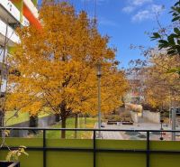 Autumn park between apartment buildings on Veterná Street in Trnava.