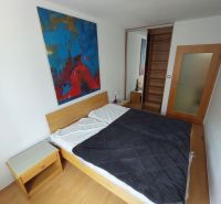 Bedroom of a two-room apartment with a painting, a cabinet, a floor with a wooden decor, and a wardrobe.