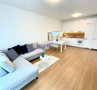 A stylish living area in a 3-room apartment with a wooden decor floor and a kitchenette.