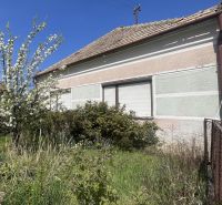 A family house in Bátorove Kosihy with a flower garden and a cherry tree.
