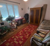 A room in a family house with carpets, antique furniture, and lots of houseplants.