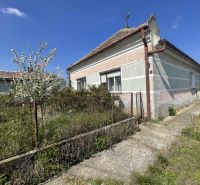 A family house in Bátorove Kosihy with a blooming tree and closed shutters.