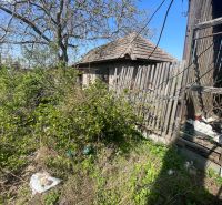 An overgrown yard of a family house in Bátorove Kosihy with a fence and an old shelter.