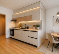 A kitchen in a 2-room apartment with a wooden decor floor, a dining table, and lights.